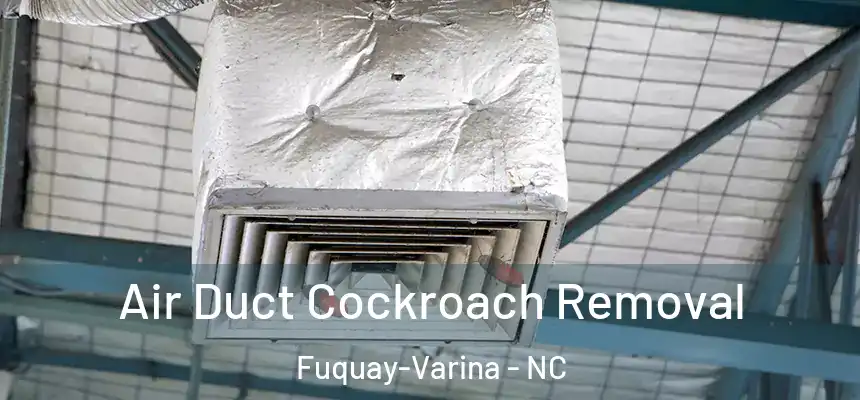  Air Duct Cockroach Removal Fuquay-Varina - NC