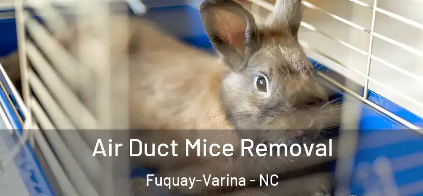 Air Duct Mice Removal Fuquay-Varina - NC