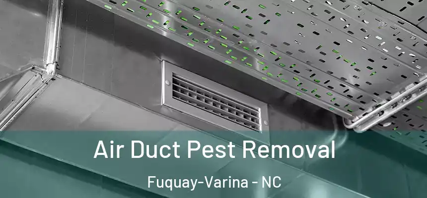 Air Duct Pest Removal Fuquay-Varina - NC