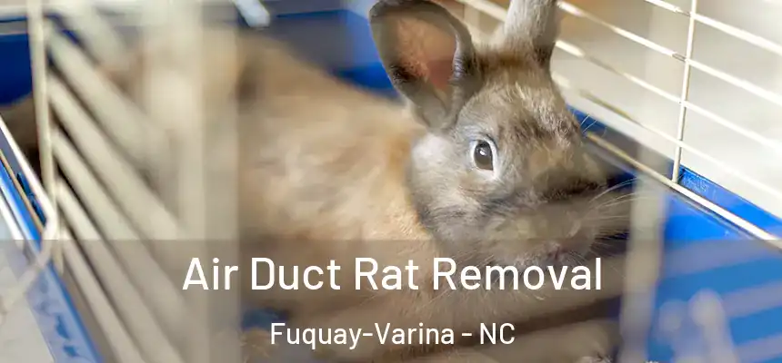Air Duct Rat Removal Fuquay-Varina - NC