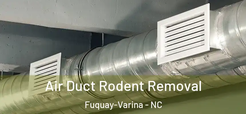 Air Duct Rodent Removal Fuquay-Varina - NC