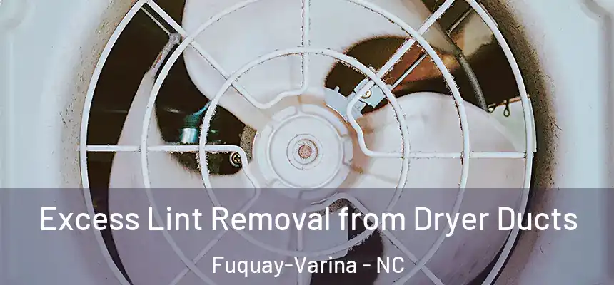 Excess Lint Removal from Dryer Ducts Fuquay-Varina - NC