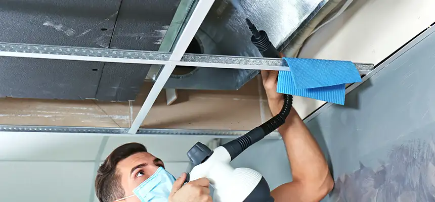 Our Air Duct Rodent Removal Services in Fuquay-Varina, NC