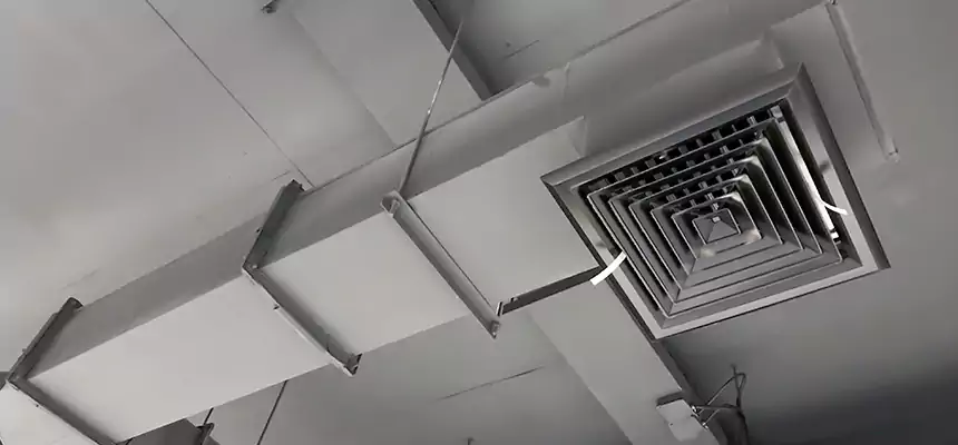 Our Rodent Droppings In Vents Services in Fuquay-Varina, NC