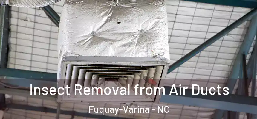 Insect Removal from Air Ducts Fuquay-Varina - NC