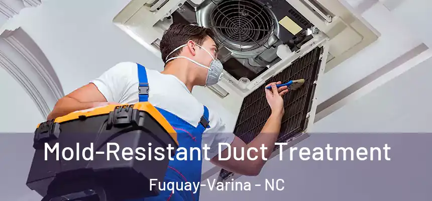  Mold-Resistant Duct Treatment Fuquay-Varina - NC