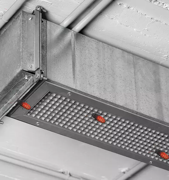 About Air Duct Cockroach Removal in Fuquay-Varina, NC