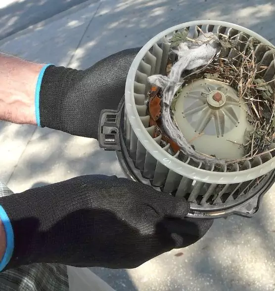 About Air Duct Rat Removal in Fuquay-Varina, NC