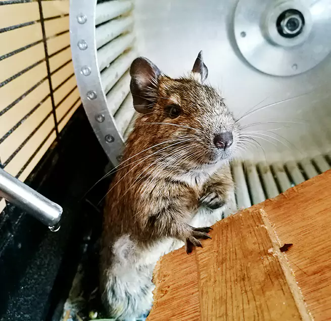 Why Homeowners & Businesses Trust Us Fuquay-Varina, NC