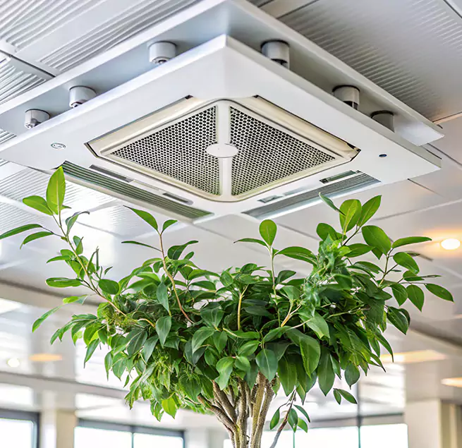 Why Homeowners & Businesses Trust Us in Fuquay-Varina, NC